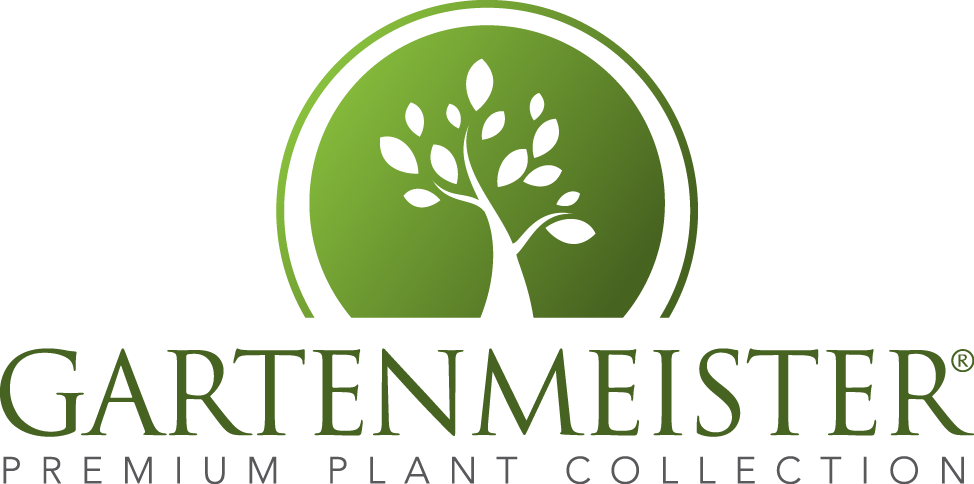 Gartenmeister Premium Plant Collection