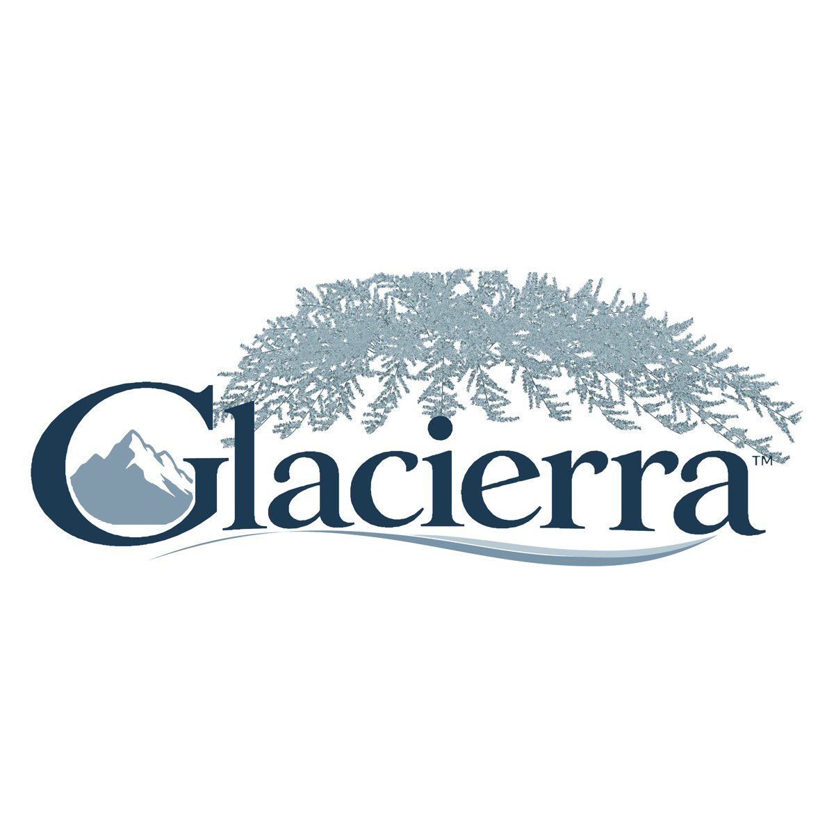 Glacierra™ Juniper in the Gartenmeister pot