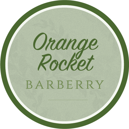 Orange Rocket Barberry